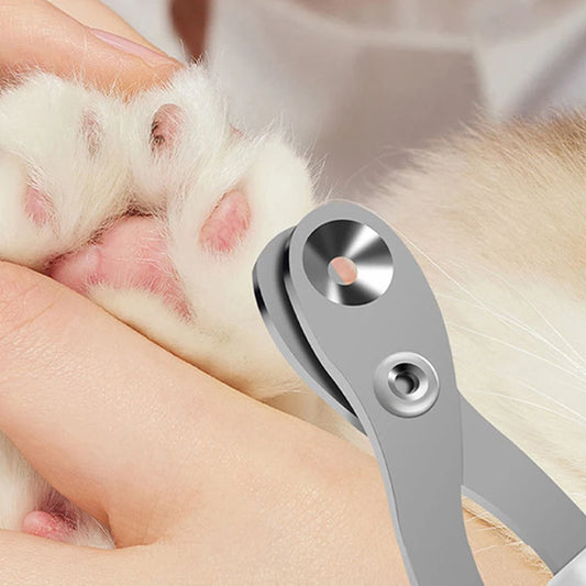 Pet Nail Scissors