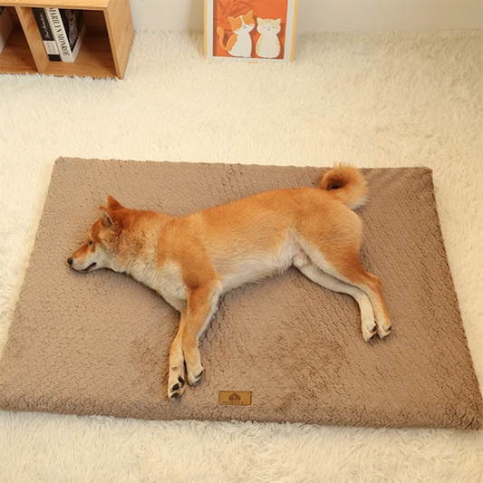 Foam Dog Bed with Washable Cover
