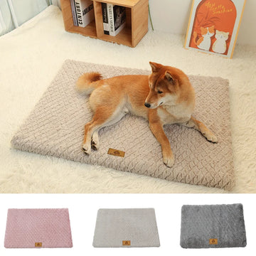 Foam Dog Bed with Washable Cover