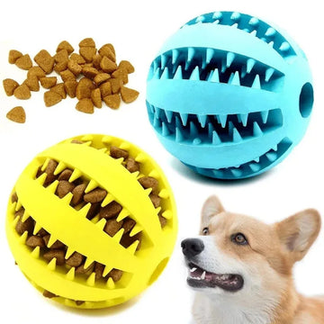 Rubber Treat-Dispensing Dog Ball